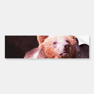 grizzbjörn bildekal