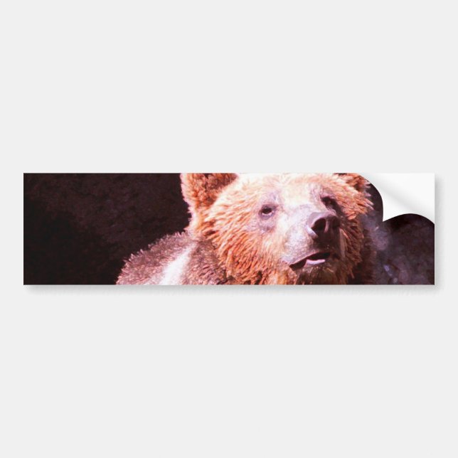 grizzbjörn bildekal (Framsidan)