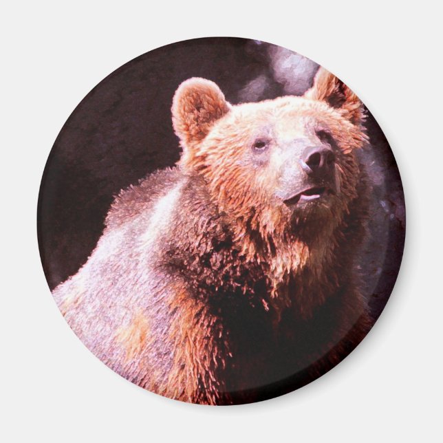 grizzbjörn magnet (Framsidan)