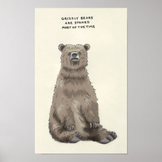 grizzbjörntrivia poster