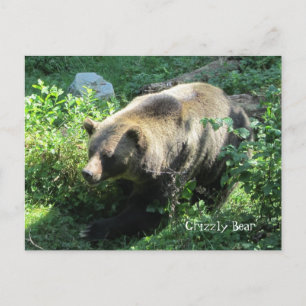 Grizzelinor Vykort