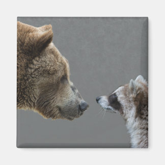Grizzle Bear Meets Raccoon Magnet