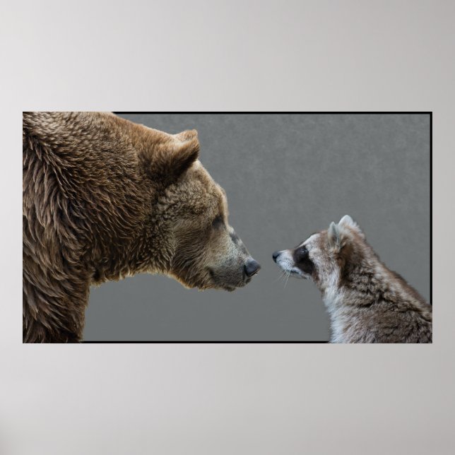 Grizzle Meets Raccoon Poster (Framsidan)