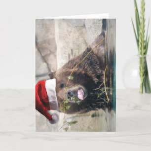 Grizzley björn i en Santa hatt Helgkort