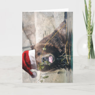 Grizzley björn i en Santa hatt Helgkort