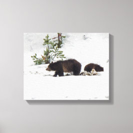 Grizzlies i den Snö-stretched Canvas