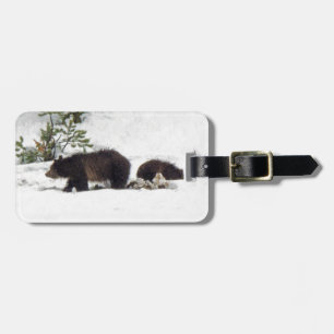 Grizzlies i Snö Bagagebricka