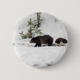 Grizzlies i Snö Knapp