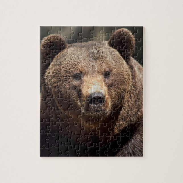 GRIZZLY BAR 8 X10 JIGSAW Puzzle Pussel (Vertikal)