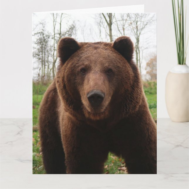 GRIZZLY BAR BIRTHDAY GREETARD CARD KORT (Framsida)