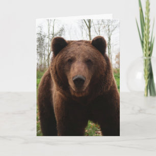 GRIZZLY BÄRA FOTOGRAFISKT BIRTHDAY-KORT KORT