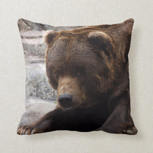 grizzly-bear-016 kudde