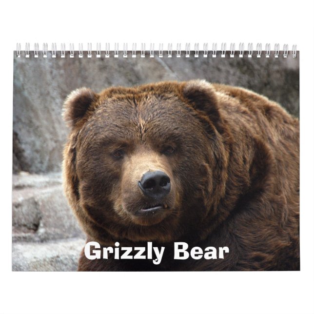 grizzly-bear-017 Grizzlybjörn Kalender (Omslag)