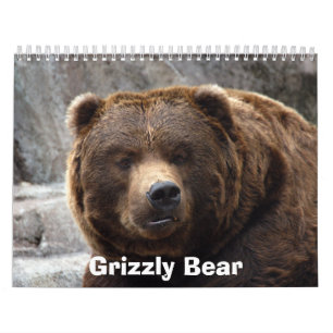grizzly-bear-017 Grizzlybjörn Kalender