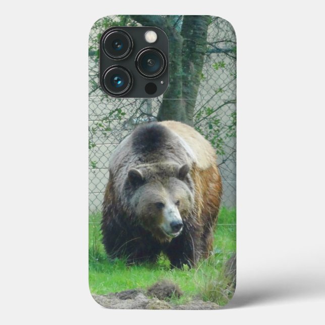 Grizzly Bear #1 iPhone 13 Pro Fodral (Baksida)