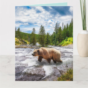 GRIZZLY BEAR ALASKA BIRTHDAY BIG GREETDS CARDS KORT