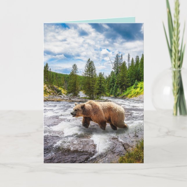 GRIZZLY BEAR ALASKA BIRTHDAY GREETDS CARDS KORT (Framsida)
