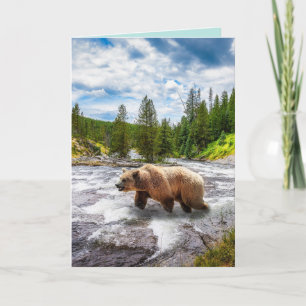 GRIZZLY BEAR ALASKA BIRTHDAY GREETDS CARDS KORT