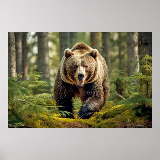 Grizzly Bear Animal Nature Majestic Vild Poster (Framsidan)