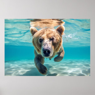 Grizzly Bear Animal Roligt Natur som spelas upp Poster