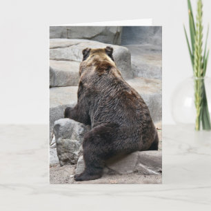 Grizzly Bear Birthday Humor Kort