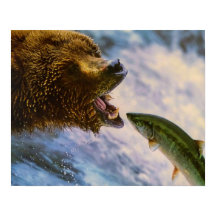 Grizzly Bear Catching Steelhead Salmon