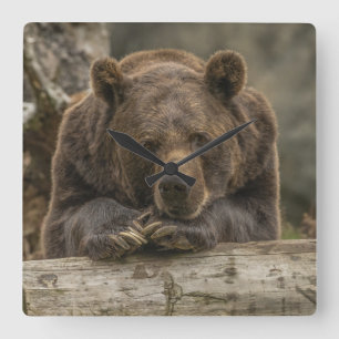 Grizzly Bear Fyrkantig Klocka