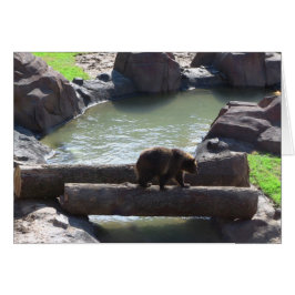 Grizzly Bear Hälsningskort