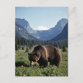 Grizzly Bear in Glacier National Park Travel Vykort
