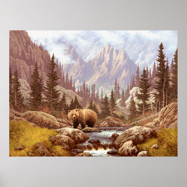 Grizzly Bear in the Rocky mountains / AF-006 björn Poster (Framsidan)