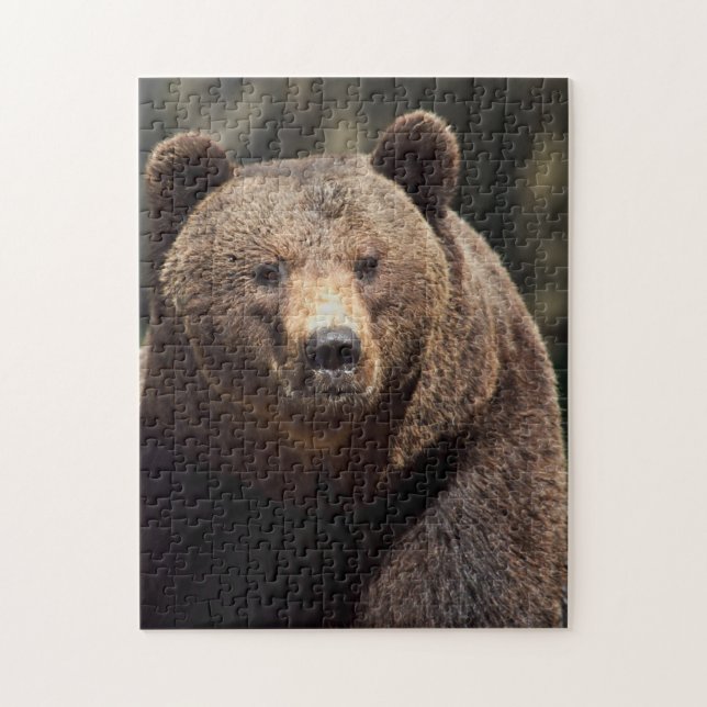 GRIZZLY BEAR JIGSAW PUZZLE PUSSEL (Vertikal)