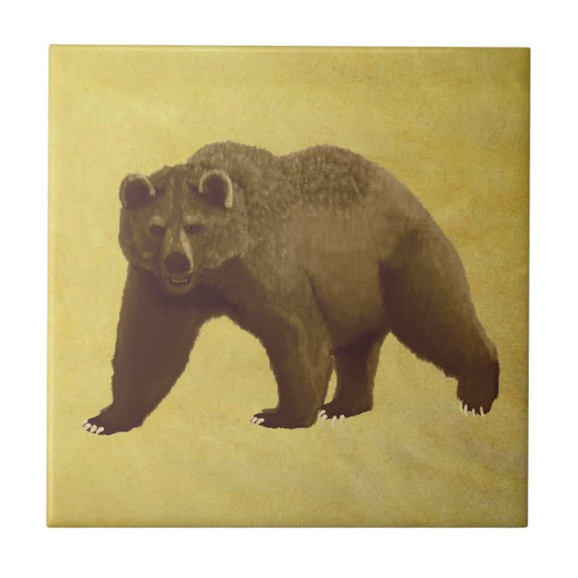 Grizzly Bear Kakelplatta (Framsidan)