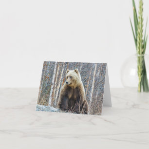 Grizzly Bear Kort