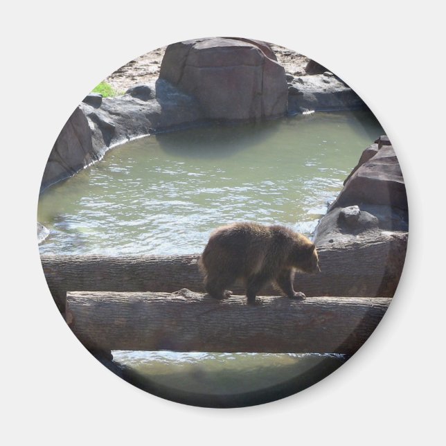 Grizzly Bear Magnet (Framsidan)