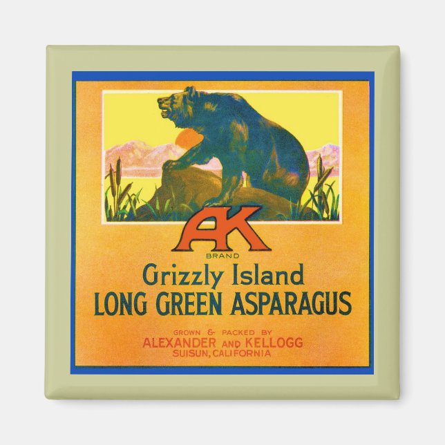 Grizzly Bear Magnet (Framsidan)