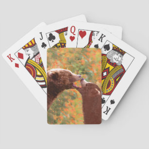 Grizzly Bear Mamma och Unge Painting - Wildlife Ar Casinokort