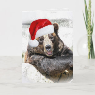 Grizzly Bear med julklapp Helgkort
