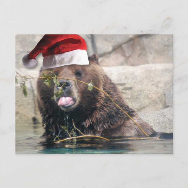 Grizzly Bear med Santa Hat Helg Vykort (Framsida)