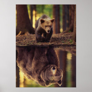 Grizzly Bear Mindset - reflektion över Unge Vatten Poster