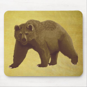 Grizzly Bear Musmatta