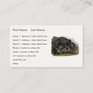 Grizzly Bear (North American Brown Bear) - Audubon Visitkort