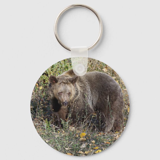 Grizzly Bear Nyckelring (Framsida)