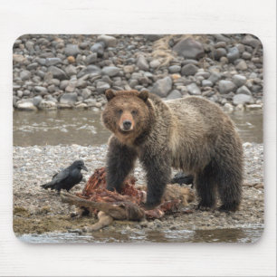 Grizzly Bear och Raven Mouse Pad Musmatta