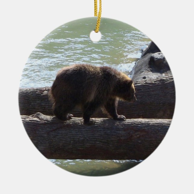 Grizzly Bear Ornament (Framsidan)
