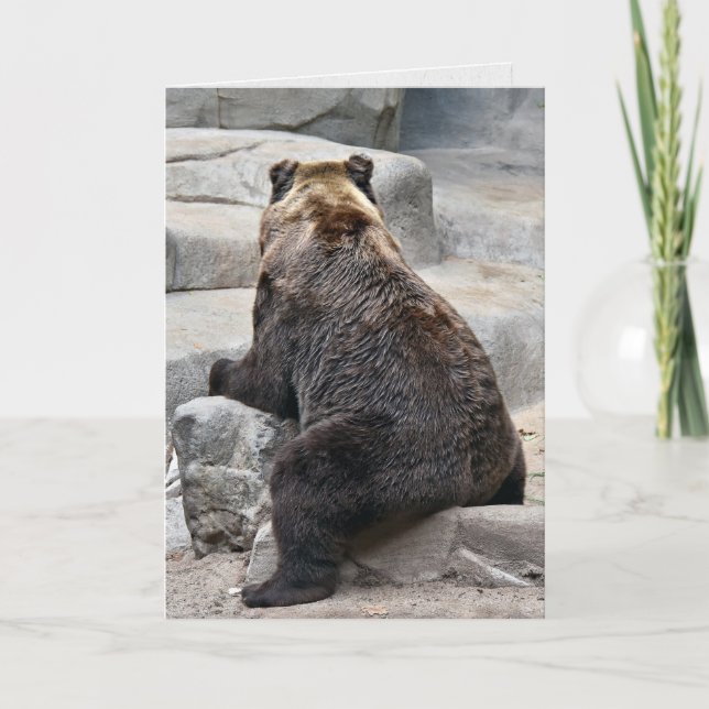 Grizzly Bear på sten födelsedag humor Kort (Framsida)