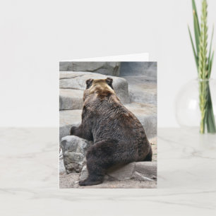 Grizzly Bear på Sten Kort
