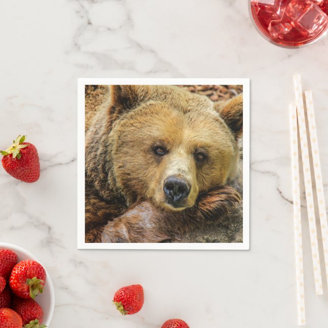 Grizzly Bear Pappersservett (Insitu)