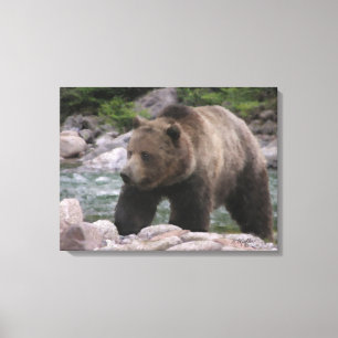 Grizzly Bear - Pastellkritor Canvastryck