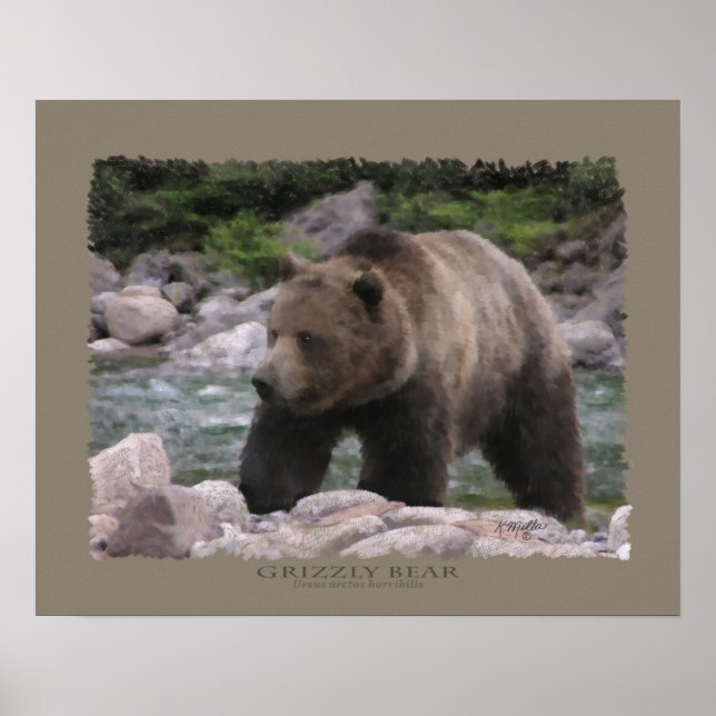 Grizzly Bear - Pastellkritor Poster (Framsidan)