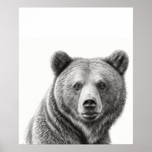 Grizzly Bear Porträtt Black white Poster